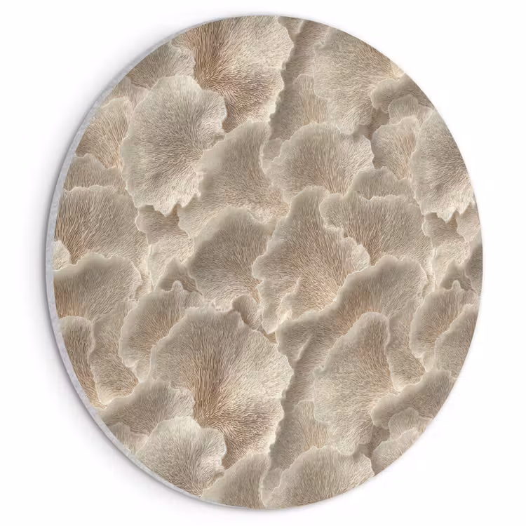 Akoestisch schilderij rond - Waaierstructuren - Beige - Vezeltextuur — 1