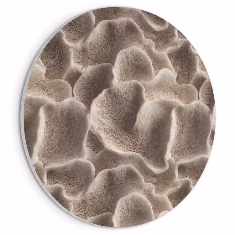 Akoestisch schilderij rond - Waaiervorm - Beige - Vezel textuur — 1
