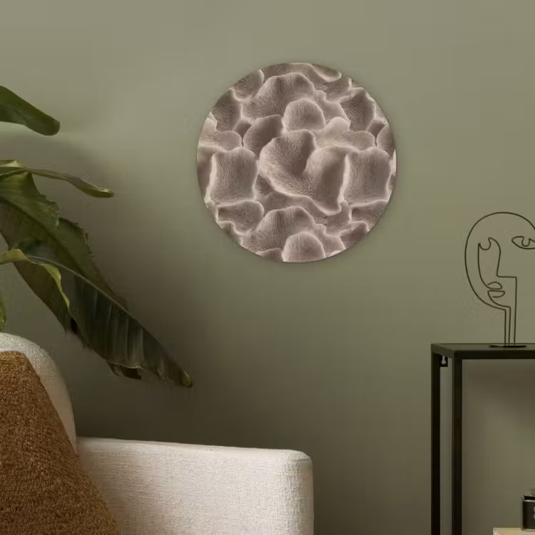 Akoestisch schilderij rond - Waaiervorm - Beige - Vezel textuur — 4