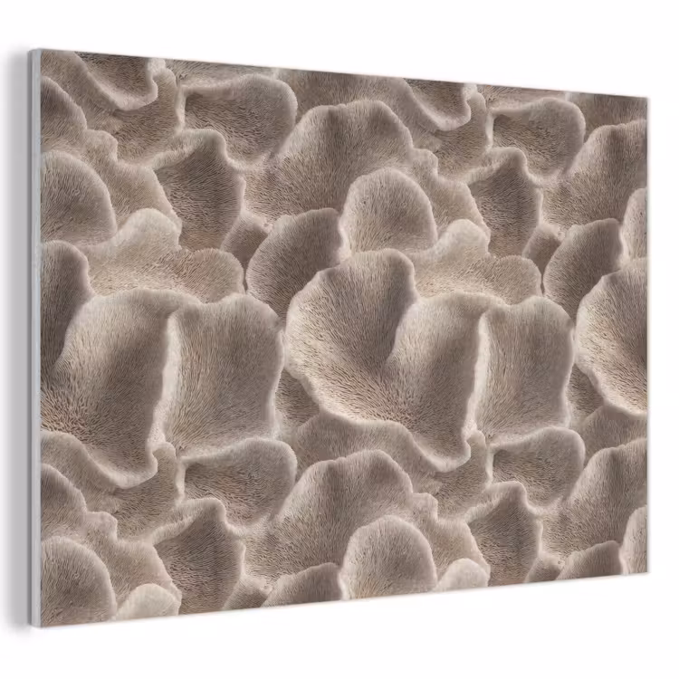 Akoestisch schilderij - Waaiervorm - Beige - Vezel textuur — 1