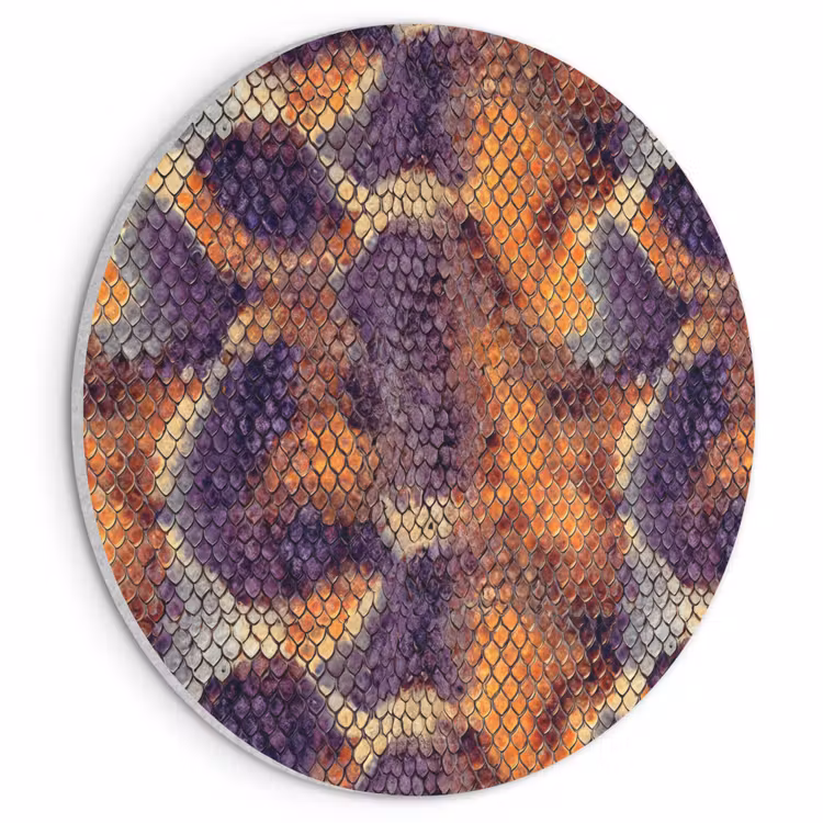 Akoestisch schilderij rond - Slang - Kleurrijk - Schubben — 1