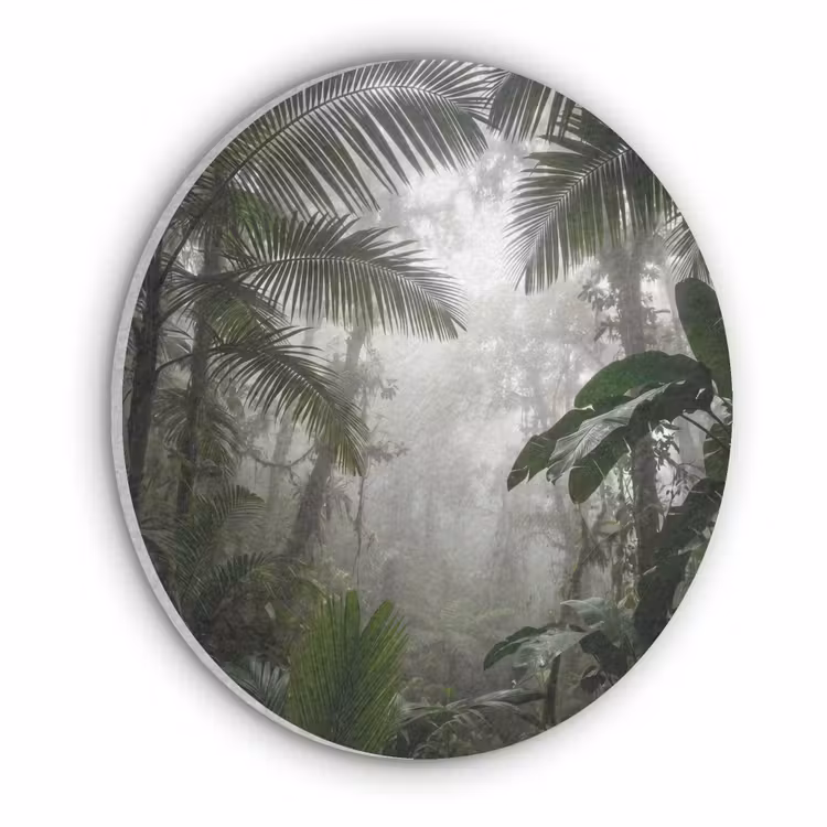 Akoestisch schilderij rond - Natuur - Jungle - Mist - Groen - Bladeren — 1