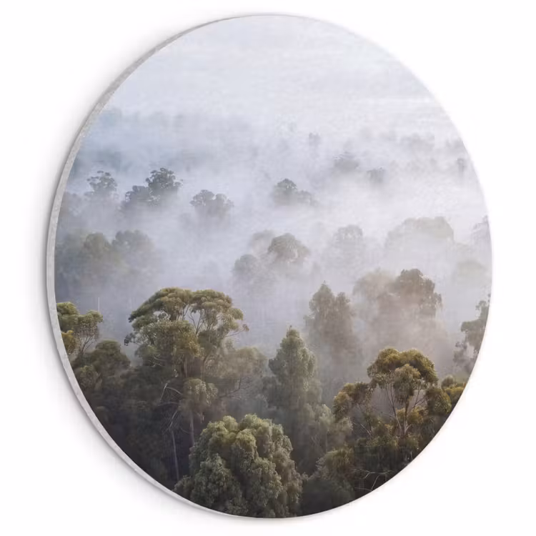 Akoestisch schilderij rond - Natuur - Mist - Bos - Ochtend - Goud — 1