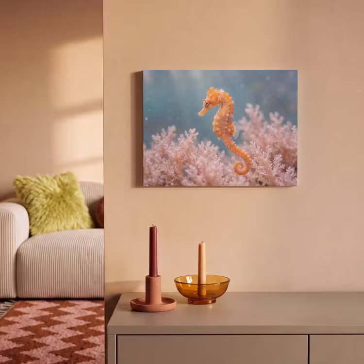 Akoestisch schilderij - Vis - Koraal - Oceaan - Macro - Oranje — 2