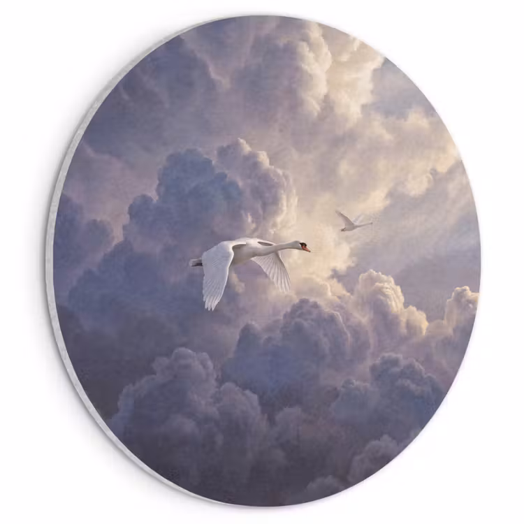 Akoestisch schilderij rond - Vogel - Vliegend - Natuur - Wit - Wolken — 1