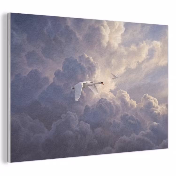 Akoestisch schilderij - Vogel - Vliegend - Natuur - Wit - Wolken — 1