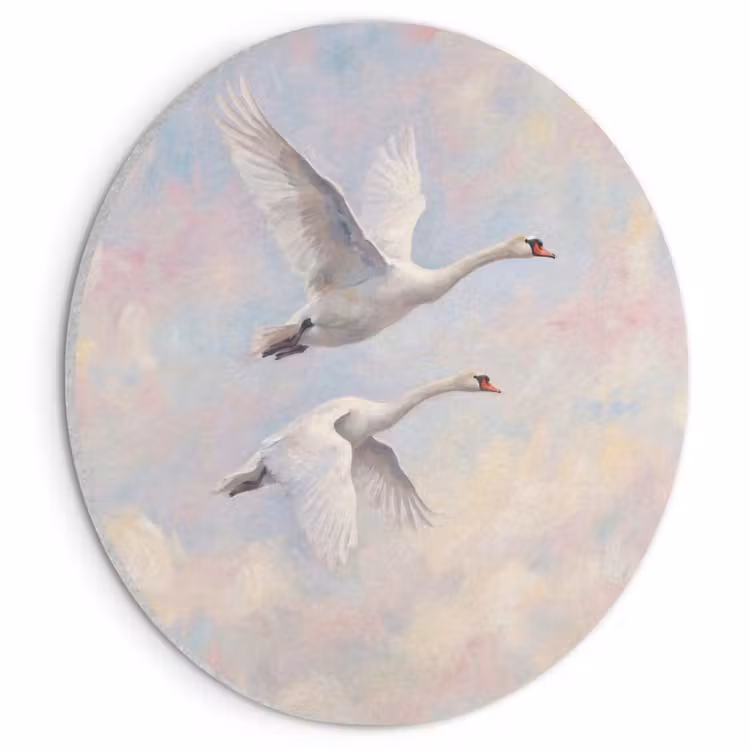 Akoestisch schilderij rond - Vogel - Vliegend - Lucht - Modern - Pastel — 1