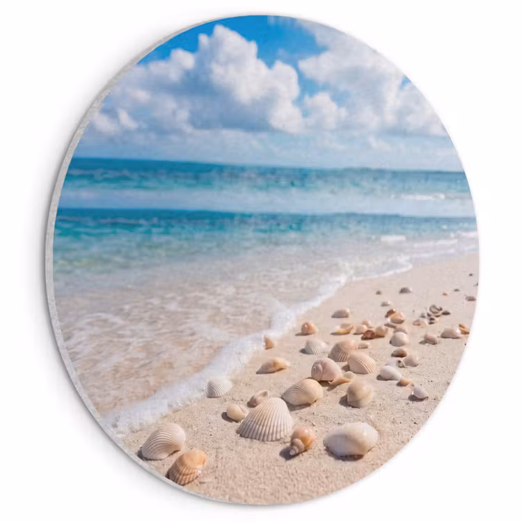Akoestisch schilderij rond - Schelpen - Strand - Natuur - Beige — 1