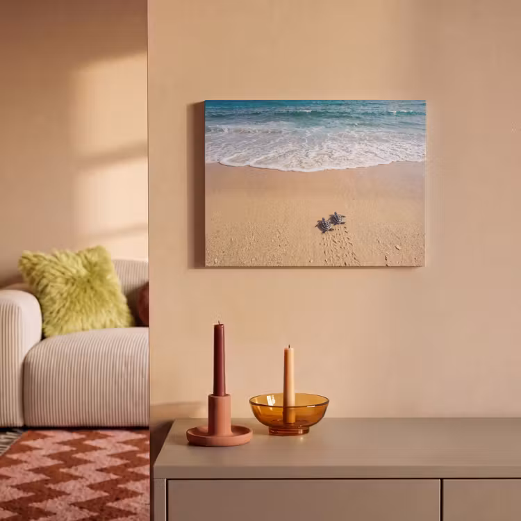 Akoestisch schilderij - Schildpad - Jong - Strand - Oceaan - Blauw — 2