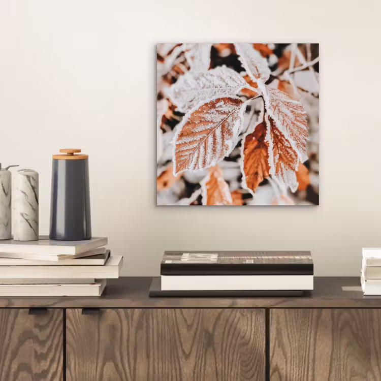 Aluminium schilderij - Bladeren - IJs - Winter - Natuur — 2