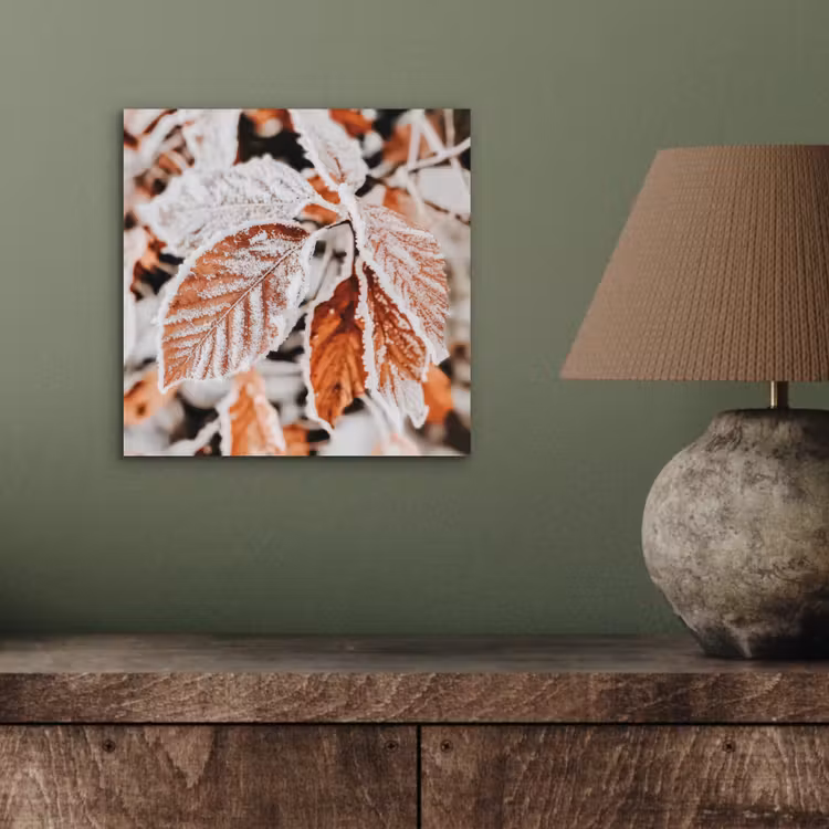 Aluminium schilderij - Bladeren - IJs - Winter - Natuur — 3