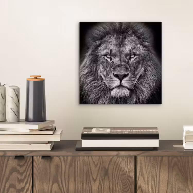 Aluminium schilderij - Dieren - Leeuw - Zwart - Wit - Portret — 2