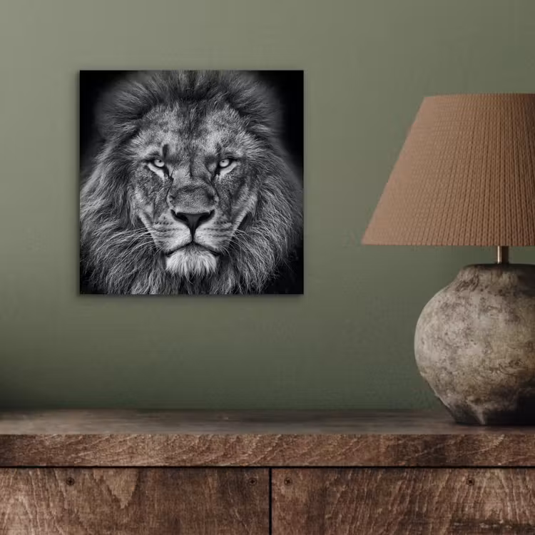 Aluminium schilderij - Dieren - Leeuw - Zwart - Wit - Portret — 3