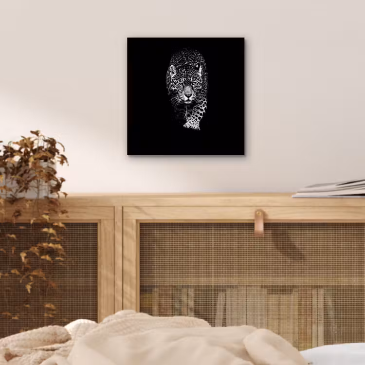 Aluminium schilderij - Dieren - Zwart - Luipaard - Wit - Wild — 4