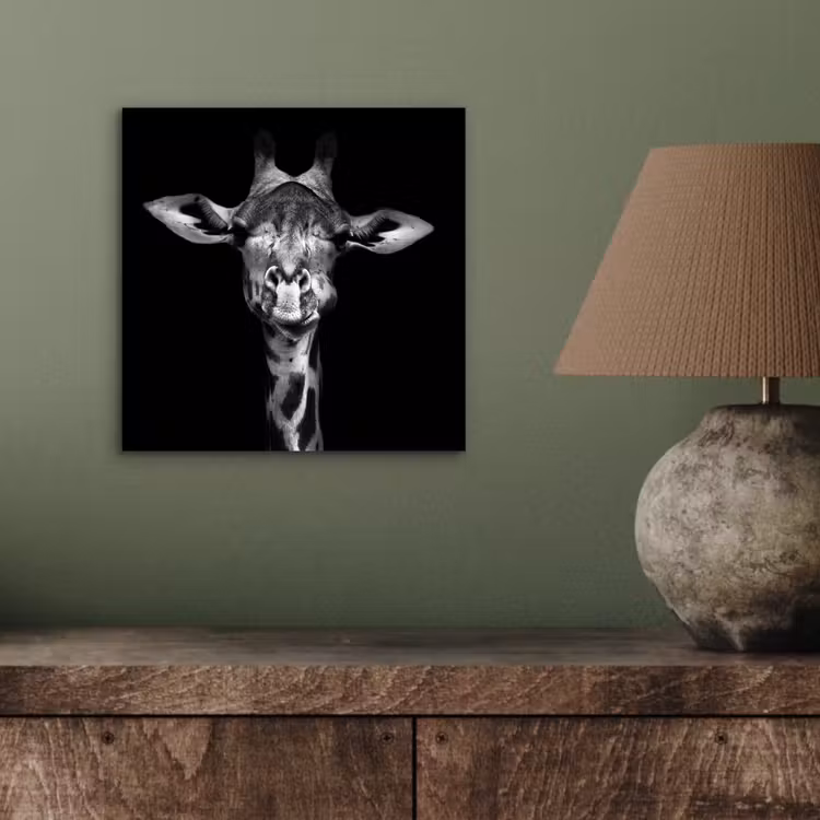 Aluminium schilderij - Giraffe - Portret - Dieren - Zwart - Wit — 3