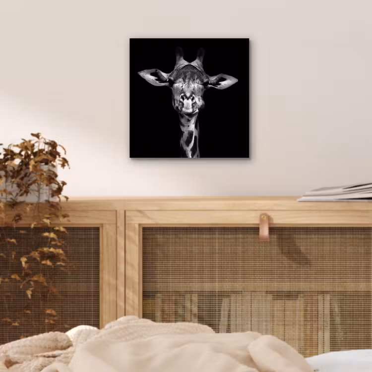 Aluminium schilderij - Giraffe - Portret - Dieren - Zwart - Wit — 4