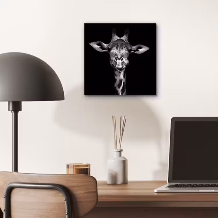 Aluminium schilderij - Giraffe - Portret - Dieren - Zwart - Wit — 6