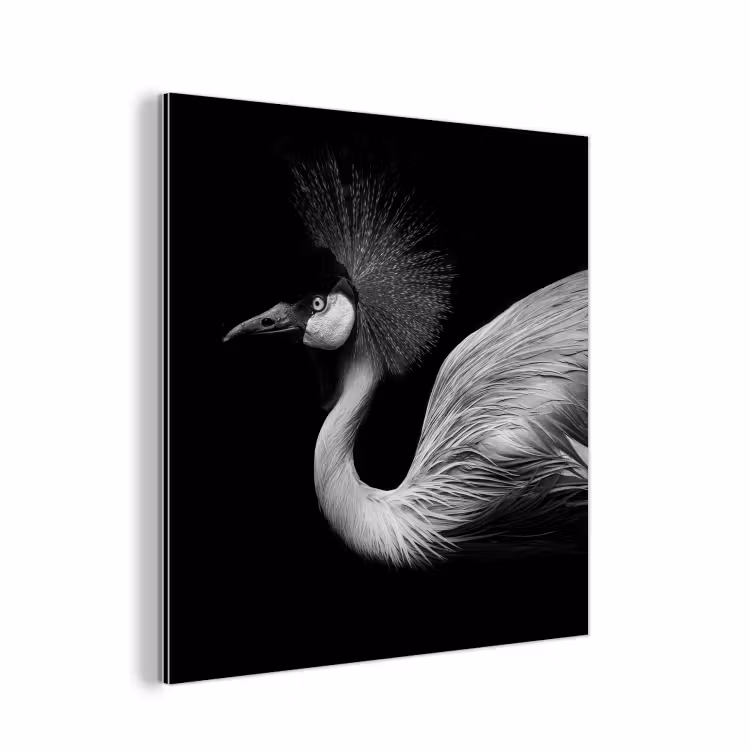 Aluminium schilderij - Kraanvogel - Zwart - Wit - Vogel - Dieren — 1