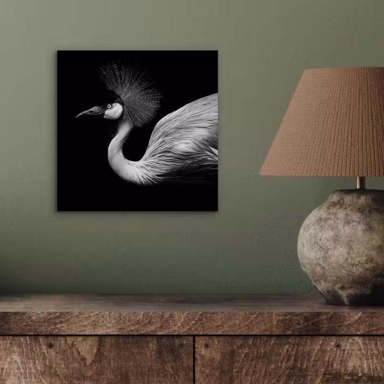 Aluminium schilderij - Kraanvogel - Zwart - Wit - Vogel - Dieren — 3