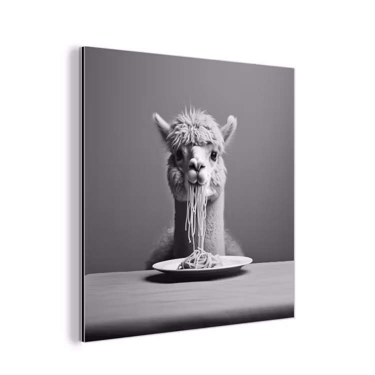 Aluminium schilderij - Alpaca - Pasta - Zwart - Wit - Grappig - Dieren — 1