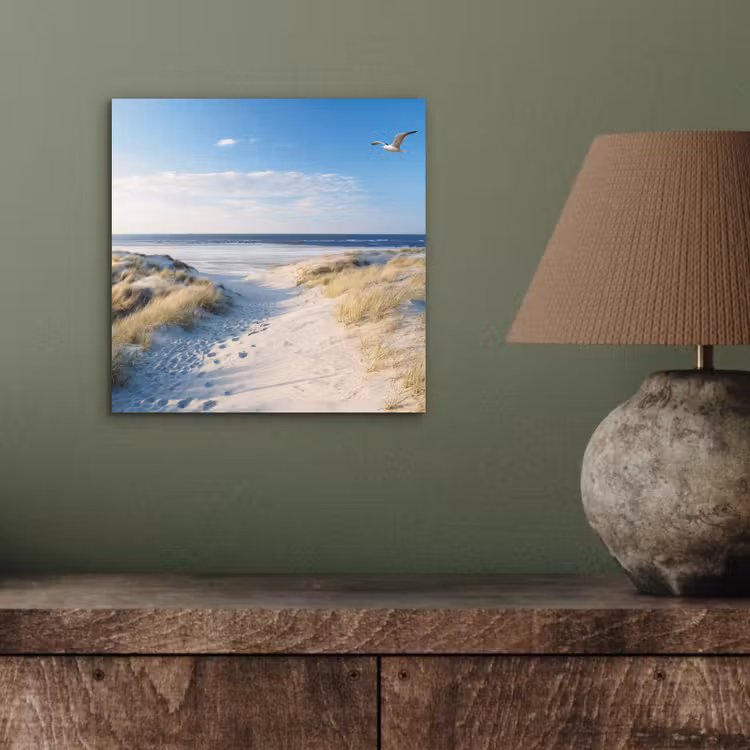 Aluminium schilderij - Duin - Meeuw - Strand - Zee - Zon — 3