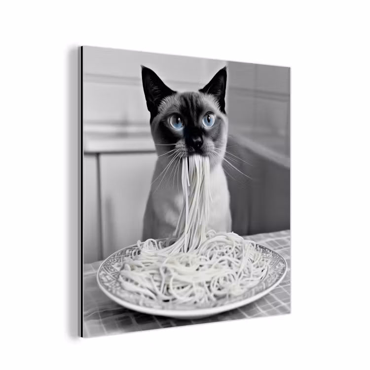 Aluminium schilderij - Kat - Siamees - Zwart Wit - Schattig - Dieren — 1