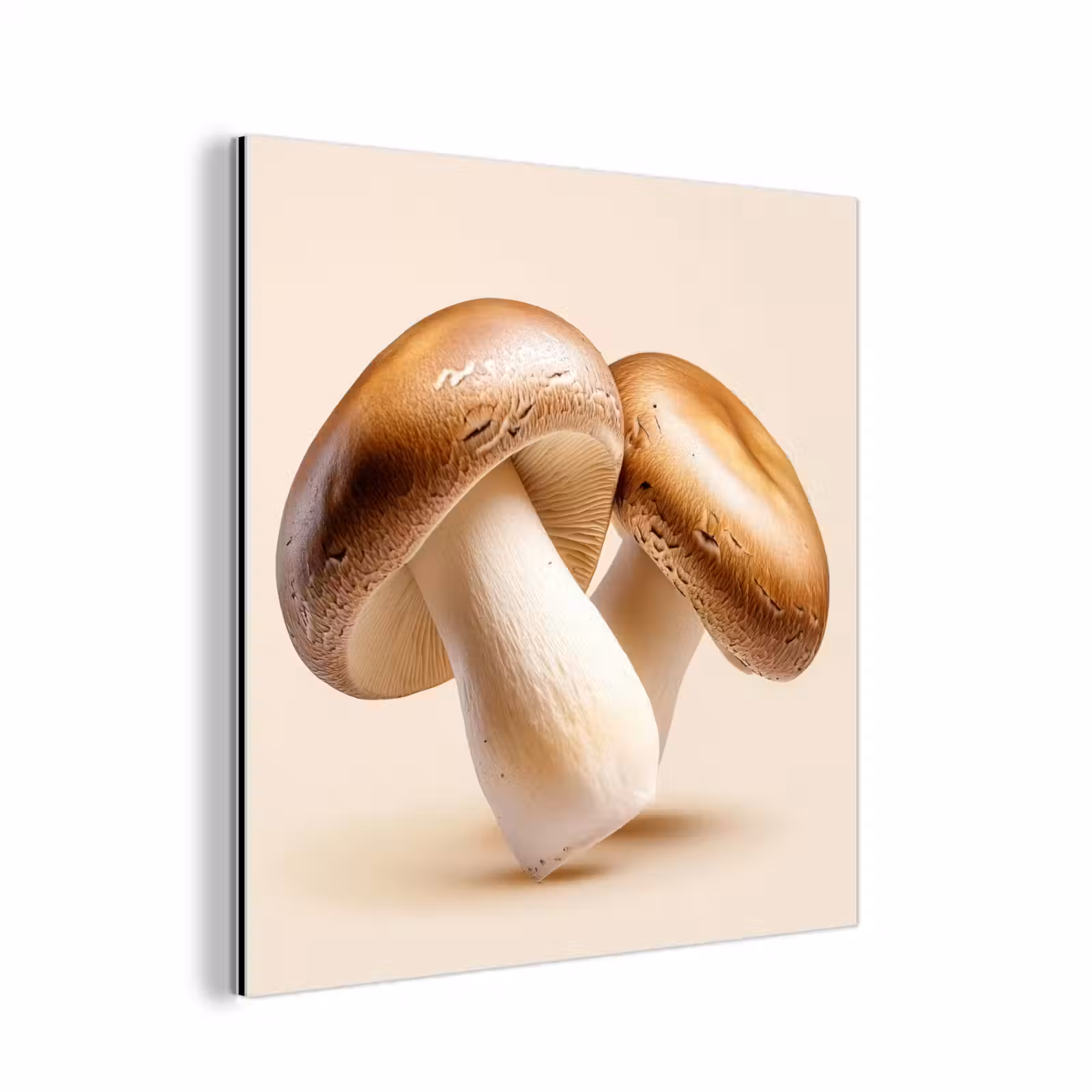 Aluminium schilderij - Champignons - Zacht - Beige — 1