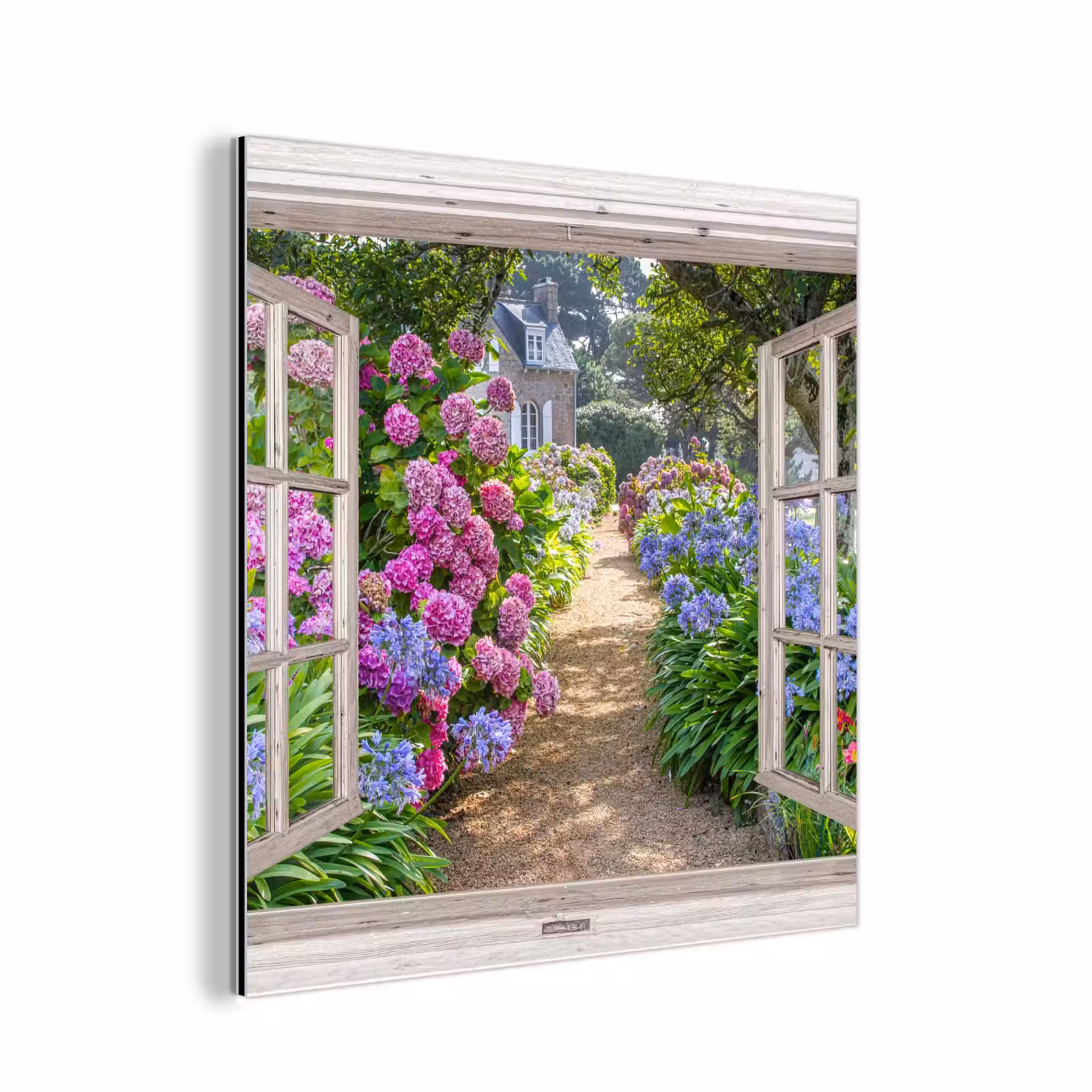 Aluminium schilderij - Hortensia - Doorkijk - Bloemen - Zomer - Paars - Pad — 1