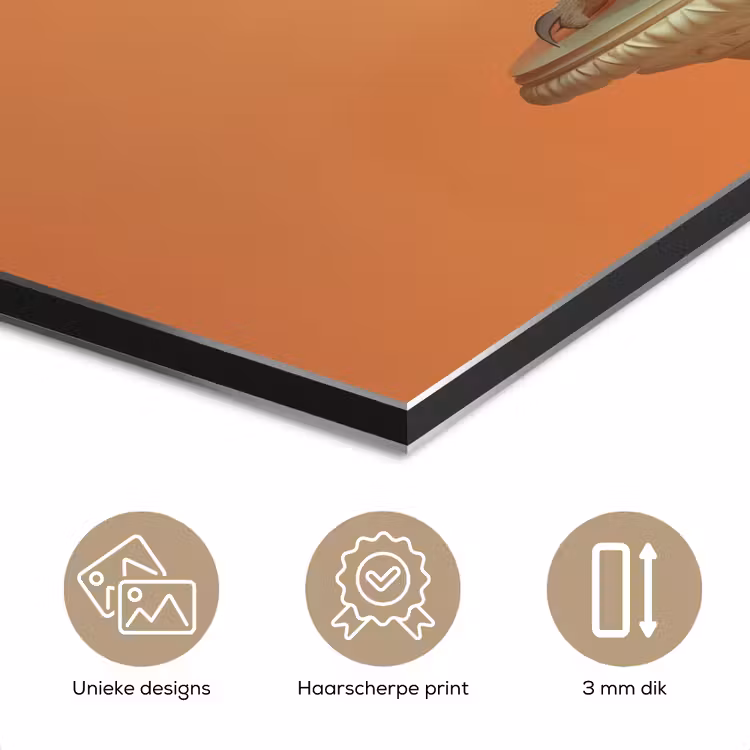 Aluminium schilderij - Kerkuil - Koksmuts - Oranje - Vogel — 7