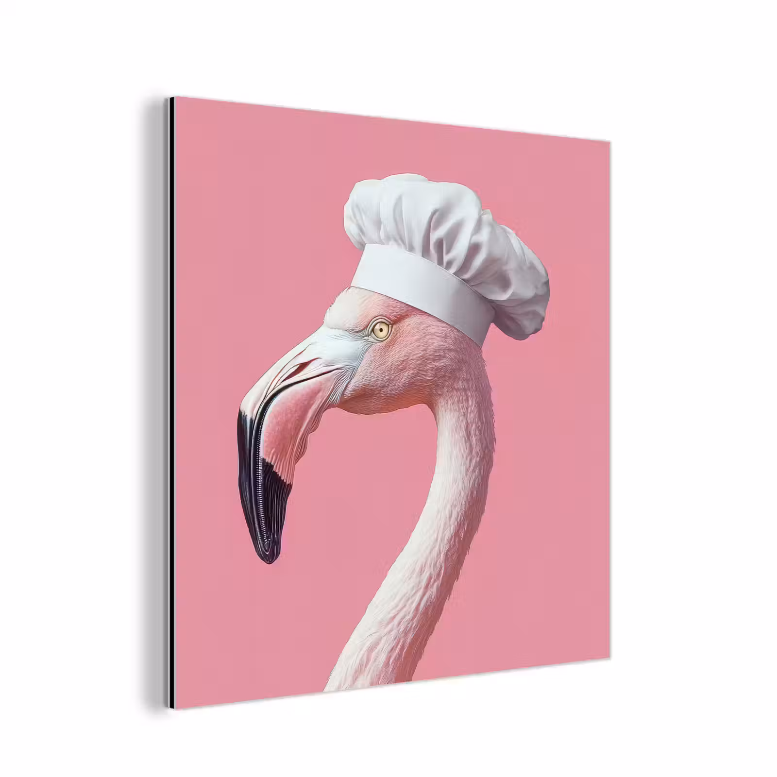 Aluminium schilderij - Flamingo - Roze - Koksmuts - Vogel — 1