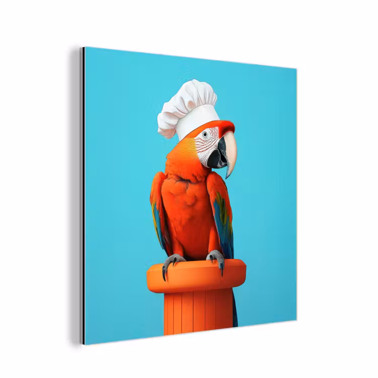Aluminium schilderij - Ara - Koksmuts - Sokkel - Grappig — 1