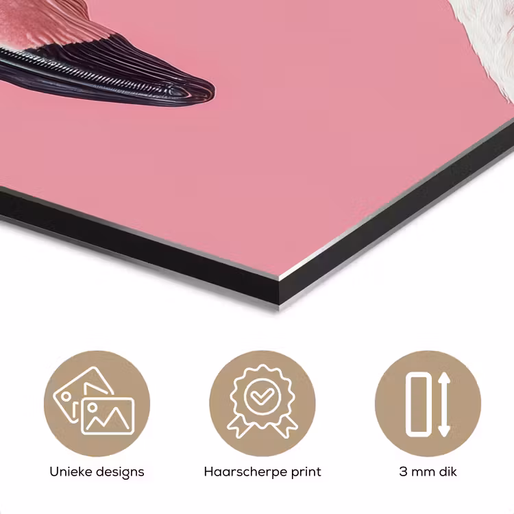 Aluminium schilderij - Flamingo - Roze - Koksmuts - Vogel — 7