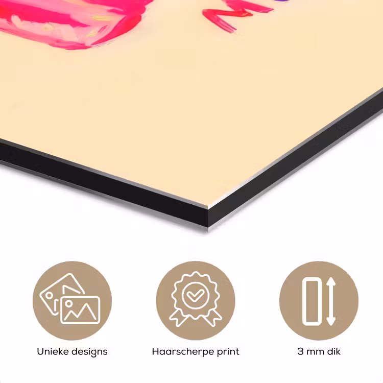 Aluminium schilderij - Camera - Memories - Roze - Geschilderd — 7