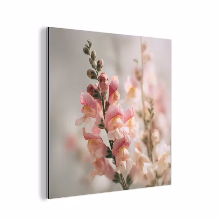 Aluminium schilderij - Bloem - Leeuwenbek - Roze - Stengel — 1