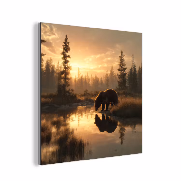 Aluminium schilderij - Beer - water - Bos - Ochtendlicht — 1