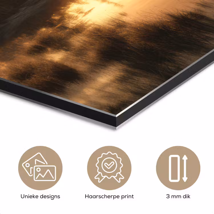 Aluminium schilderij - Beer - water - Bos - Ochtendlicht — 7
