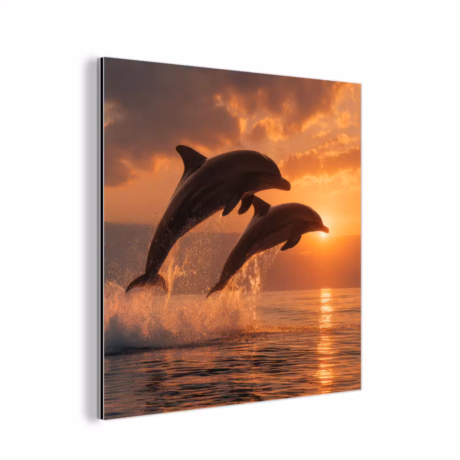 Aluminium schilderij - Dolfijnen - Zee - Realistisch — 1