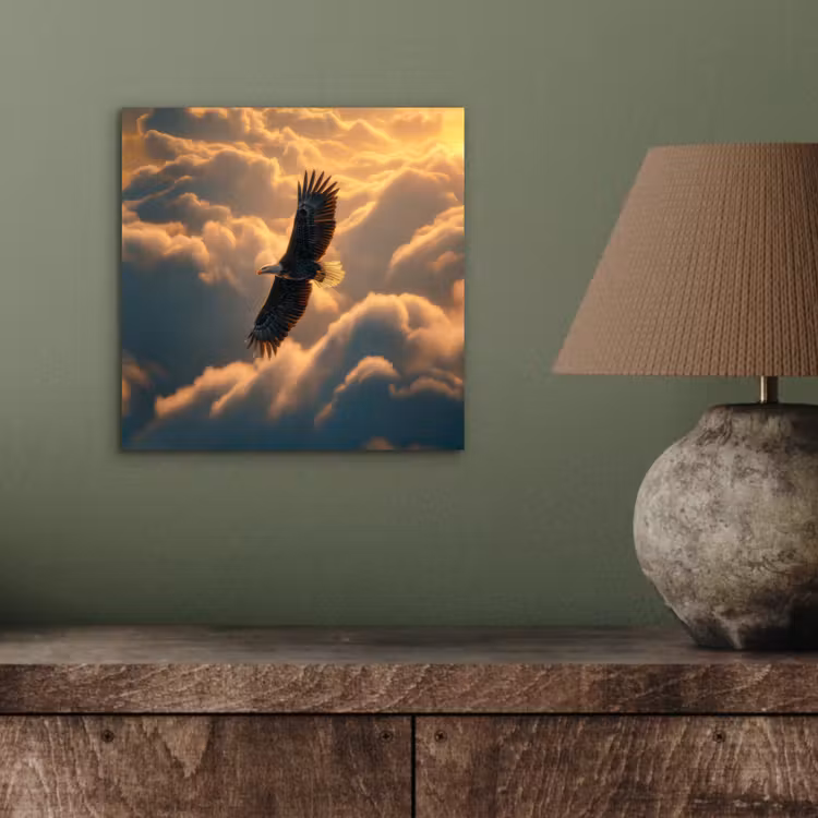 Aluminium schilderij - Adelaar - Wolken - Zon — 3