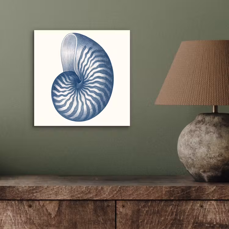 Aluminium schilderij - Blauw - Schelp - Spiraal — 3