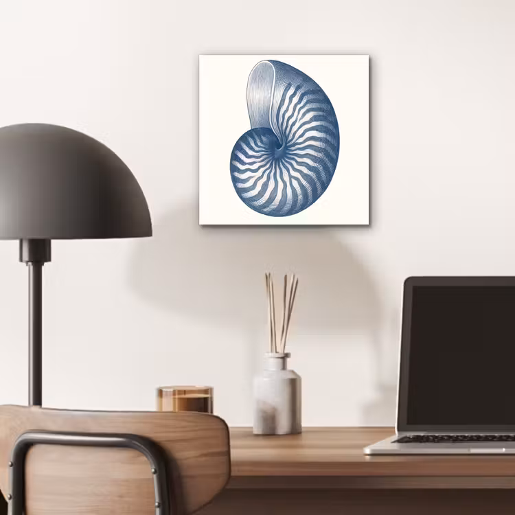 Aluminium schilderij - Blauw - Schelp - Spiraal — 6