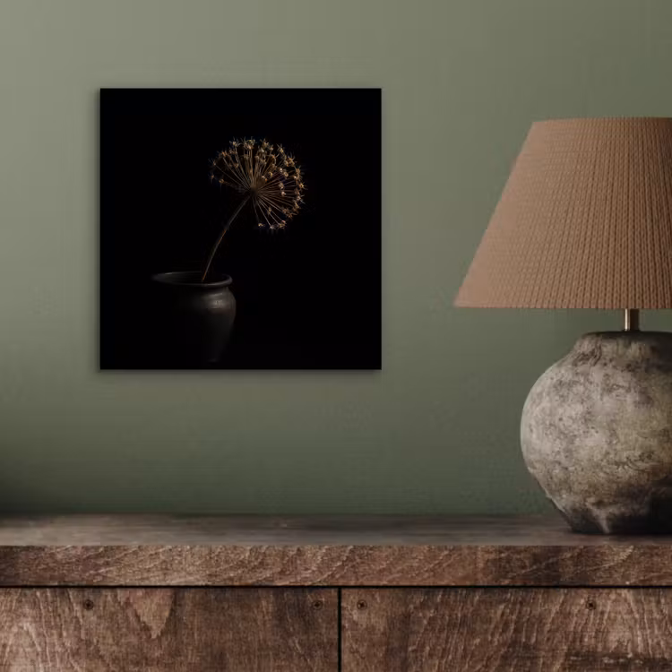 Aluminium schilderij - Bol - Gedroogd - Vaas - Zwart — 3