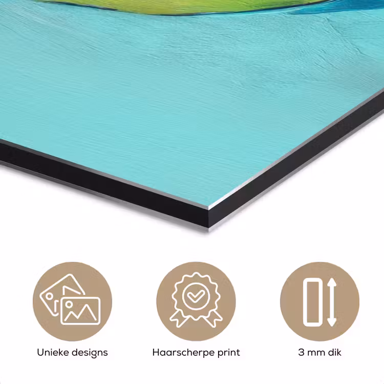 Aluminium schilderij - Avocado - Groen - Pit - Schaduw — 7