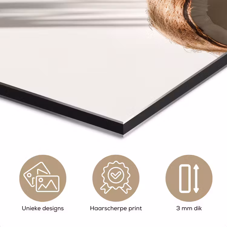 Aluminium schilderij - Kokosnoten - Bruin - Shaduw — 7