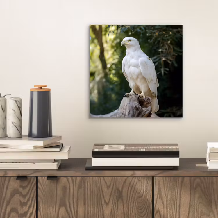 Aluminium schilderij - Arend - Hout - Wit - Planten — 2