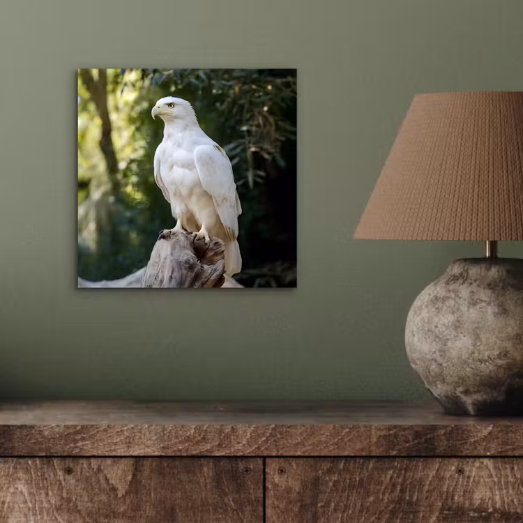 Aluminium schilderij - Arend - Hout - Wit - Planten — 3