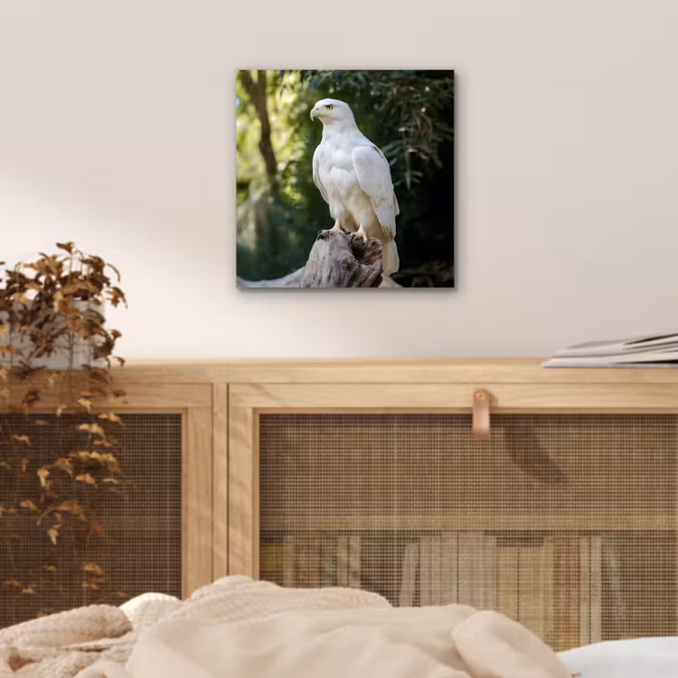 Aluminium schilderij - Arend - Hout - Wit - Planten — 4