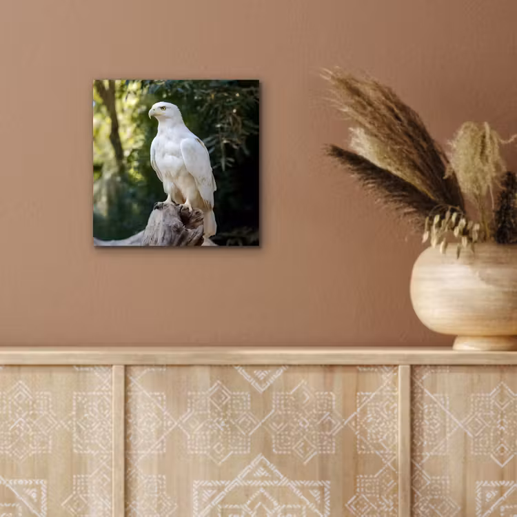 Aluminium schilderij - Arend - Hout - Wit - Planten — 5