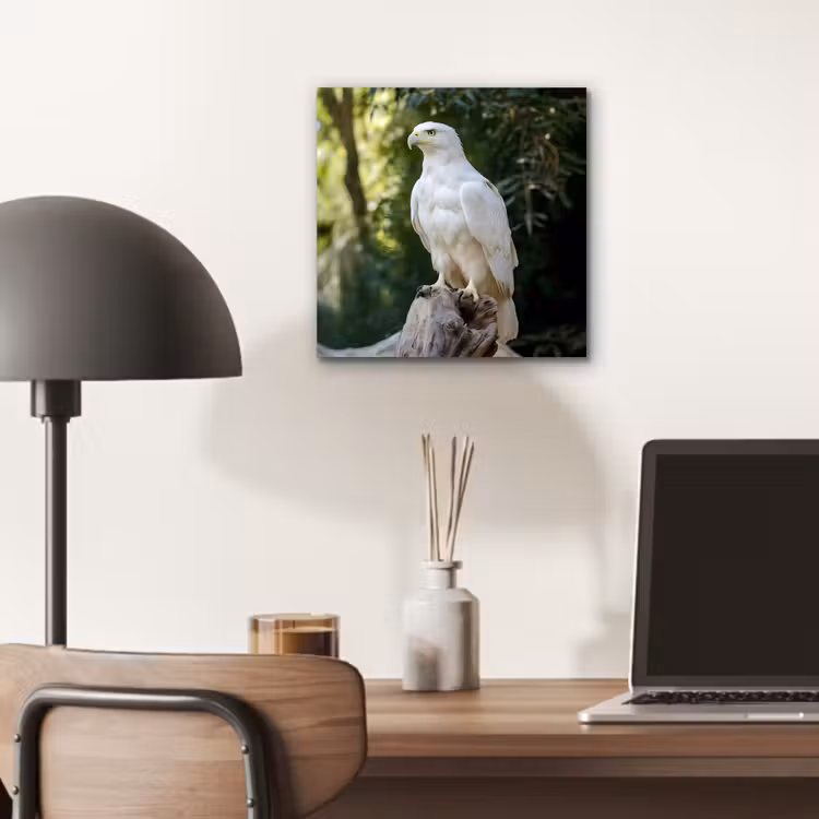 Aluminium schilderij - Arend - Hout - Wit - Planten — 6