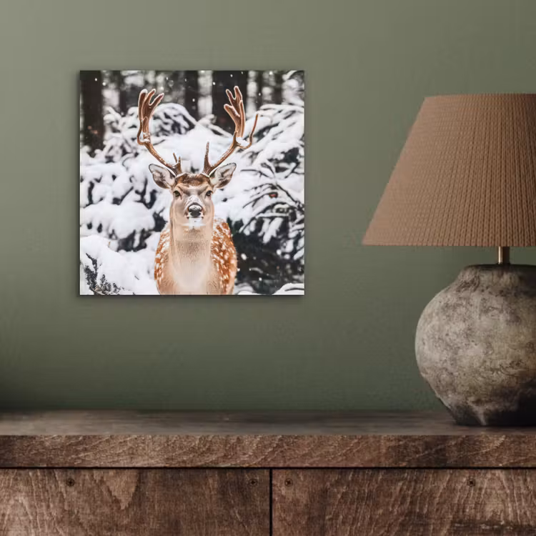 Aluminium schilderij - Hert - Sneeuw - Winter - Bos - Dieren — 3
