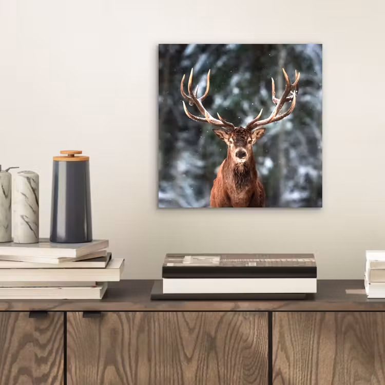 Aluminium schilderij - Hert - Winter - Sneeuw - Bos - Natuur - Dier — 2
